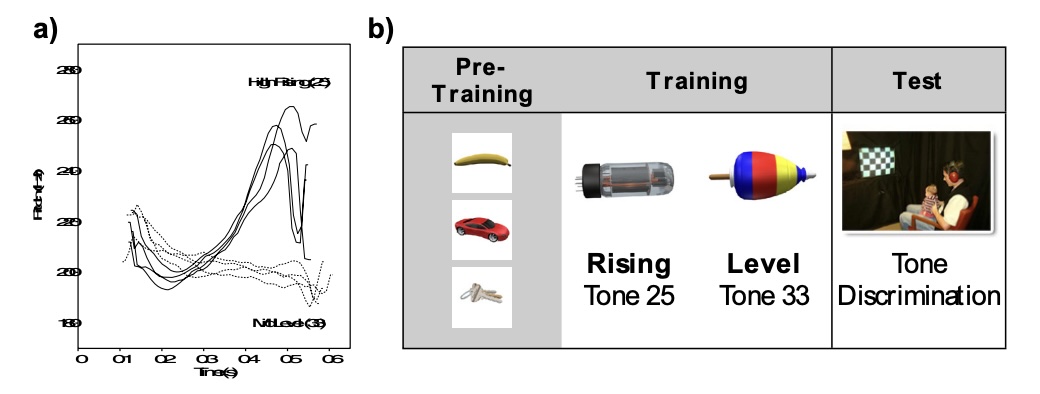 Referential labeling can facilitate phonetic learning in infancy
