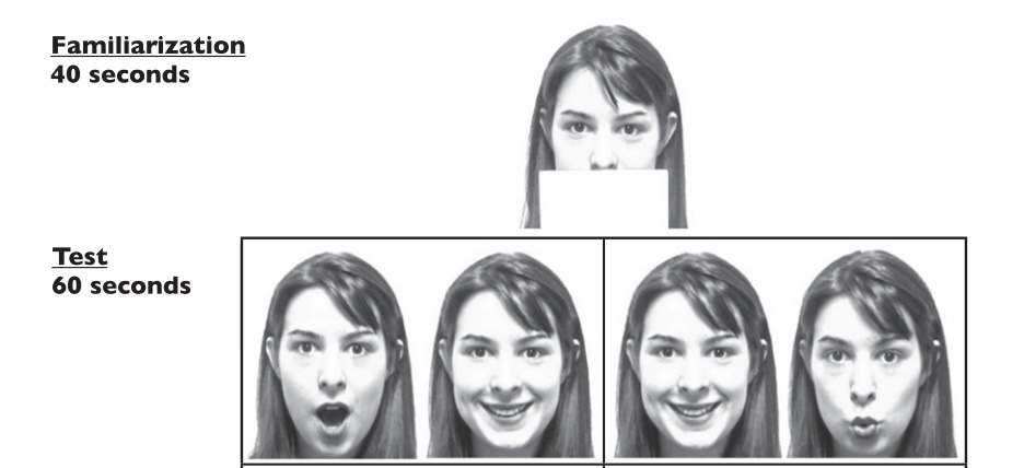 Developmental change in infants’ detection of visual faces that match auditory vowels