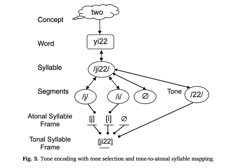Tone slips in Cantonese: Evidence for early phonological encoding