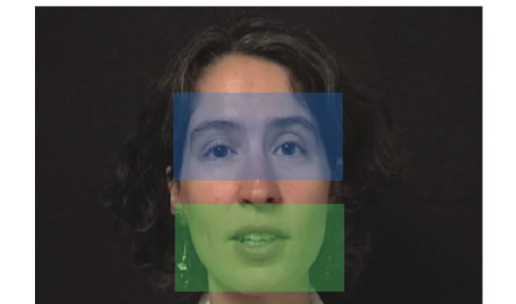 Visual scanning of a talking face in preterm and full-term infants