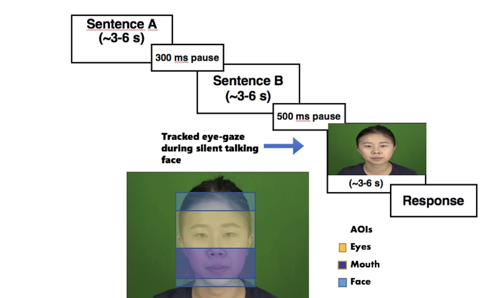 Visual scanning patterns of a talking face when evaluating phonetic information in a native and non-native language